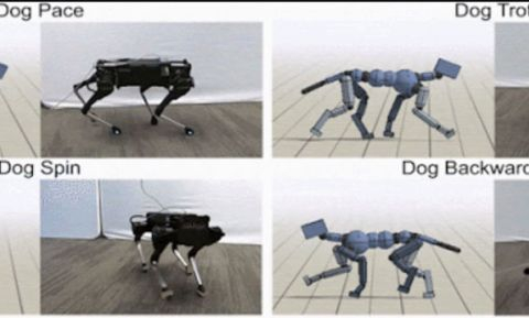 DogRobot